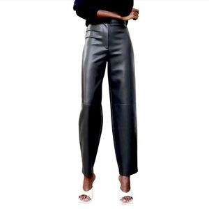 Aritzia Wilfred Bica Vegan Leather Pants